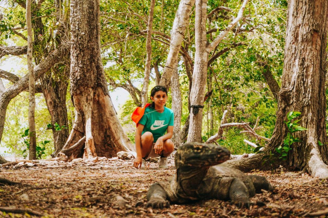 Komodoku One Love Homestay And Tour Labuan Bajo Buitenkant foto