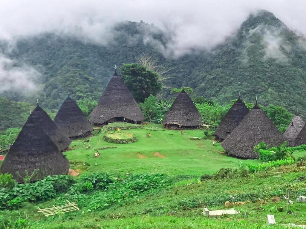 Komodoku One Love Homestay And Tour Labuan Bajo Buitenkant foto
